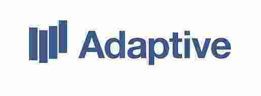 Adaptive Meaning and Definition