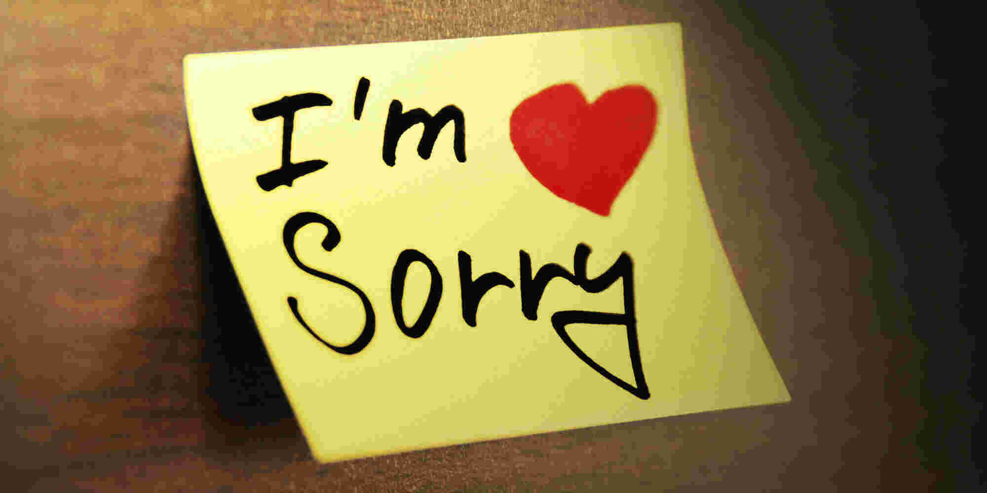 Apologize Meaning and Definition