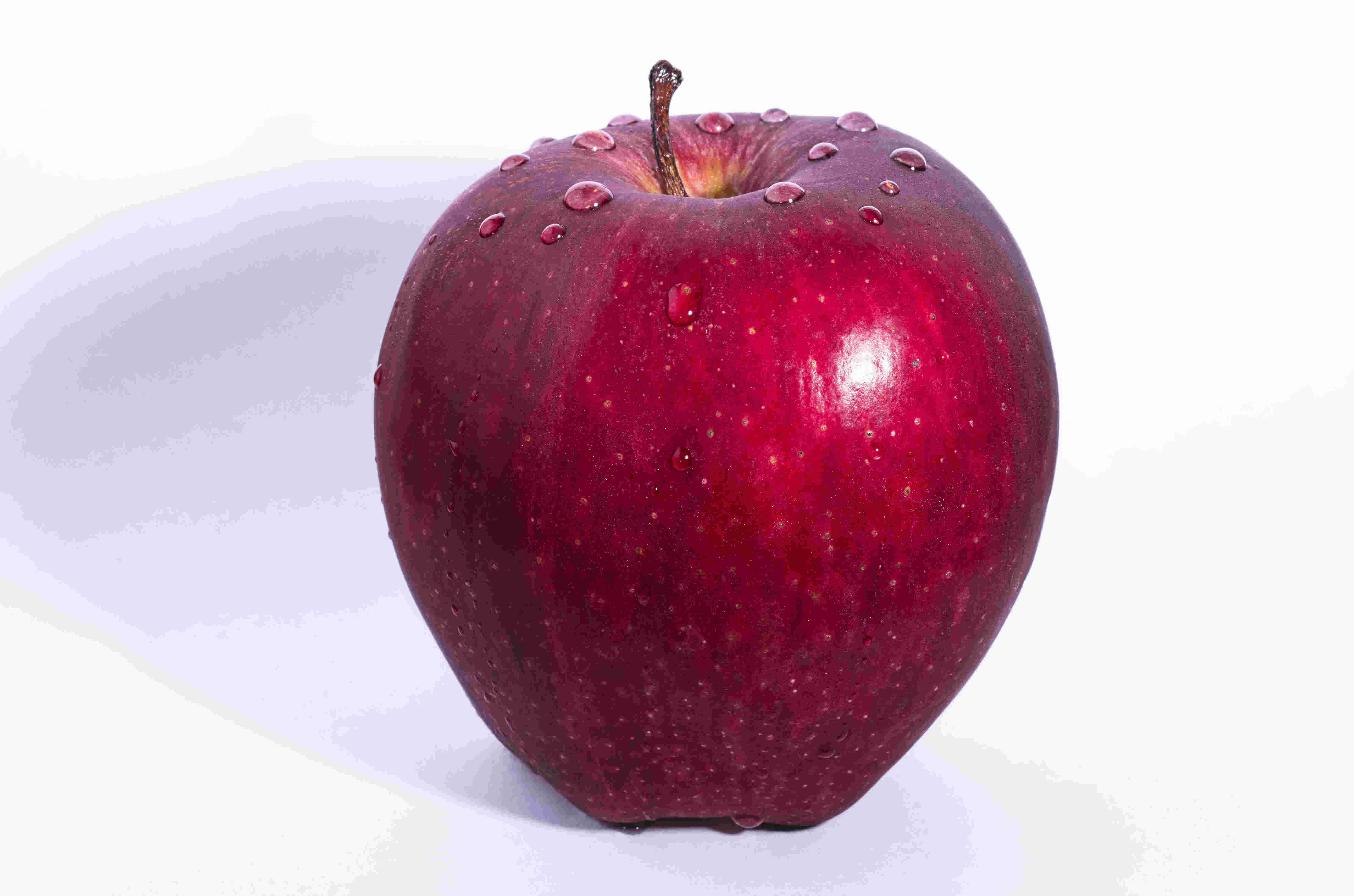 Apple Meaning and Definition