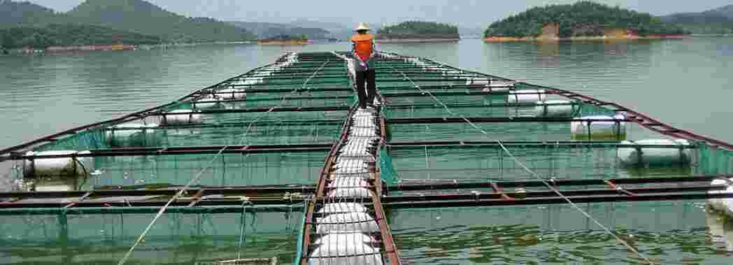 Aquaculture Meaning and Definition