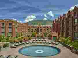 Aspen Meaning and Definition