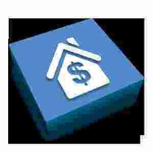 Assessor Meaning and Definition