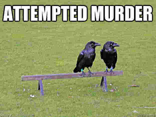 Attempted Meaning and Definition