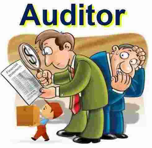 Auditor Meaning and Definition