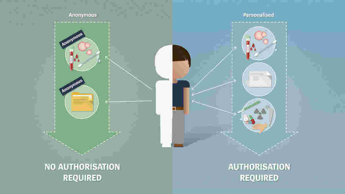 Authorisation Meaning and Definition
