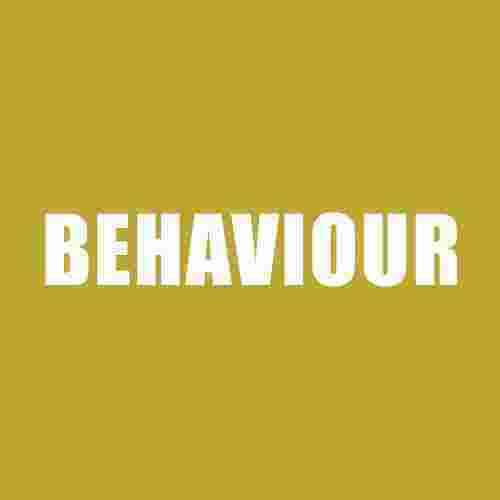 Behaviour Meaning and Definition