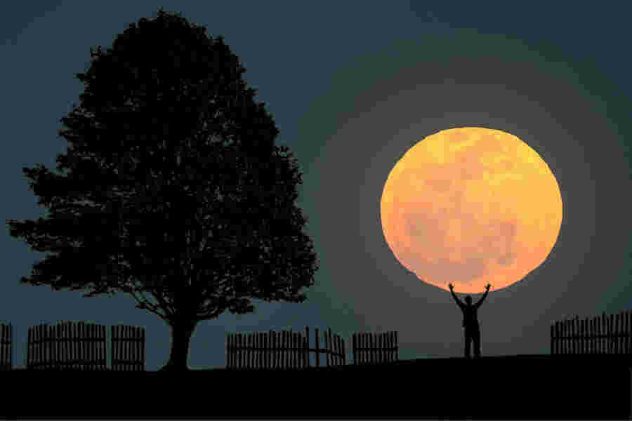 Big Meaning and Definition