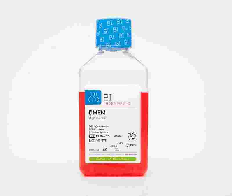 Biological Meaning and Definition