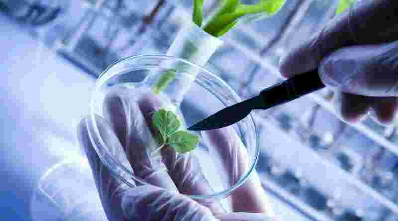 Biotechnology Meaning and Definition
