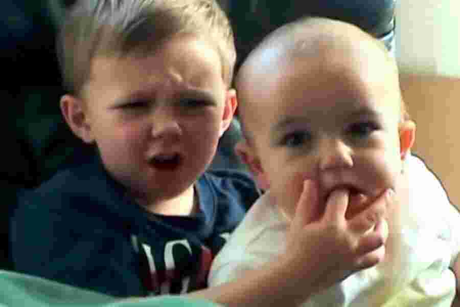 Bite Meaning and Definition