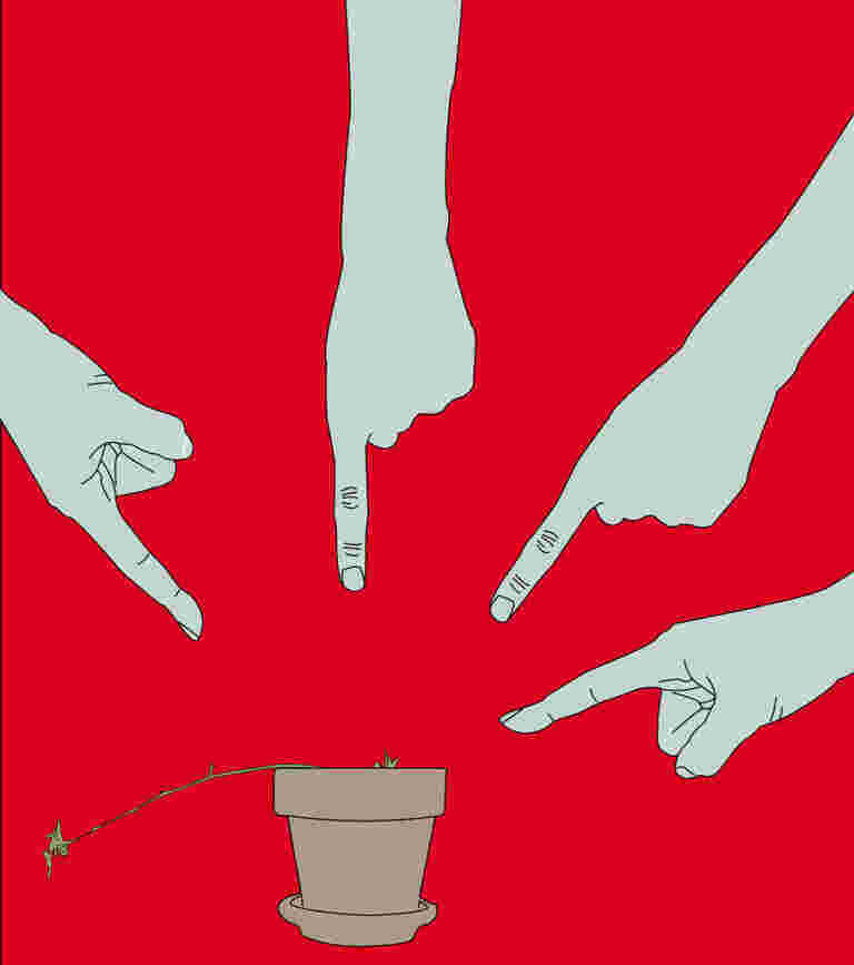 Blamed Meaning and Definition