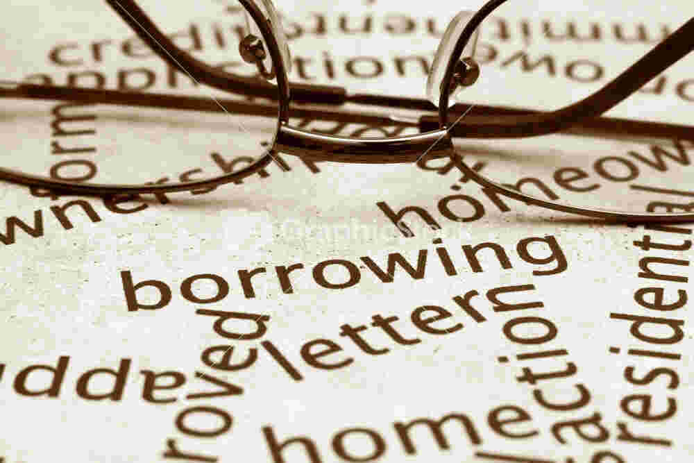 Borrowing Meaning and Definition