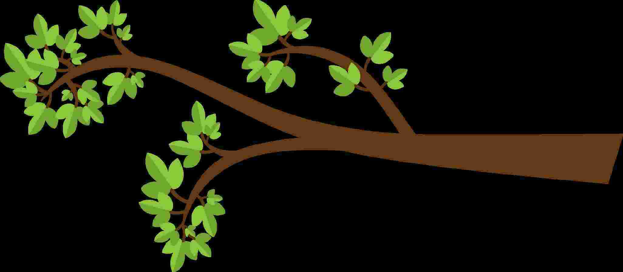 Branch Meaning and Definition