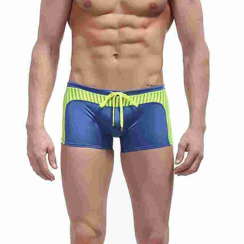 Briefs Meaning and Definition