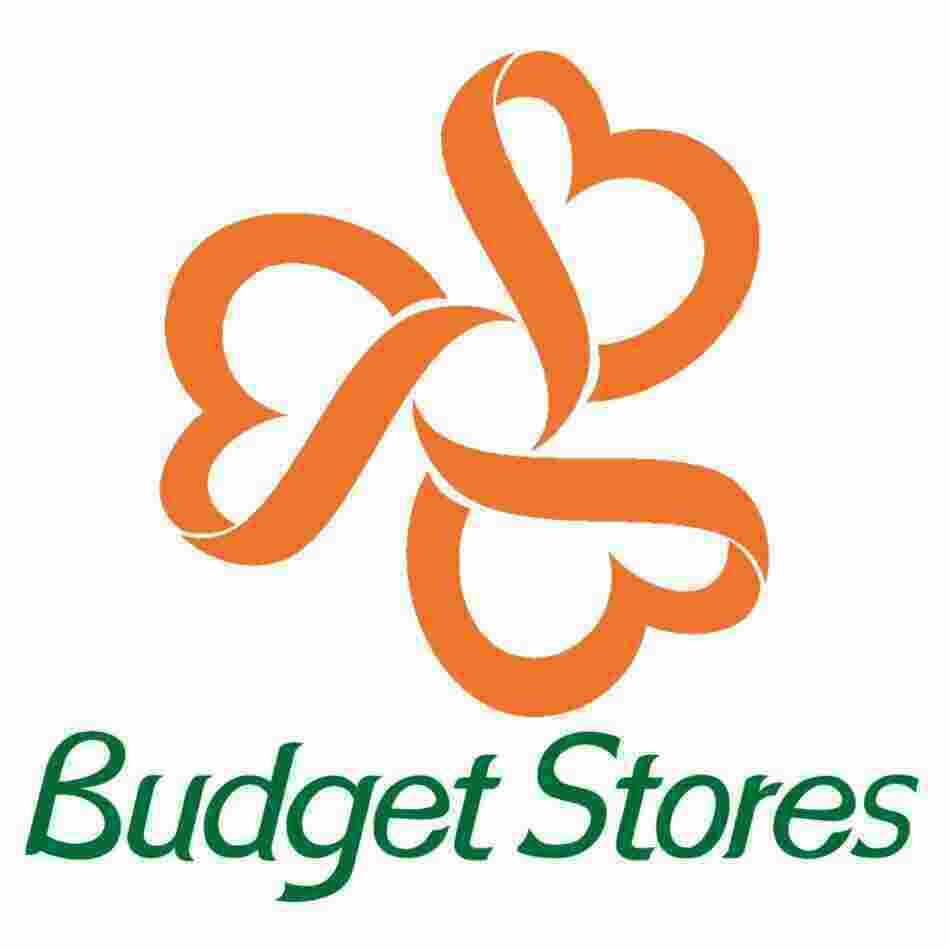 Budget Meaning and Definition