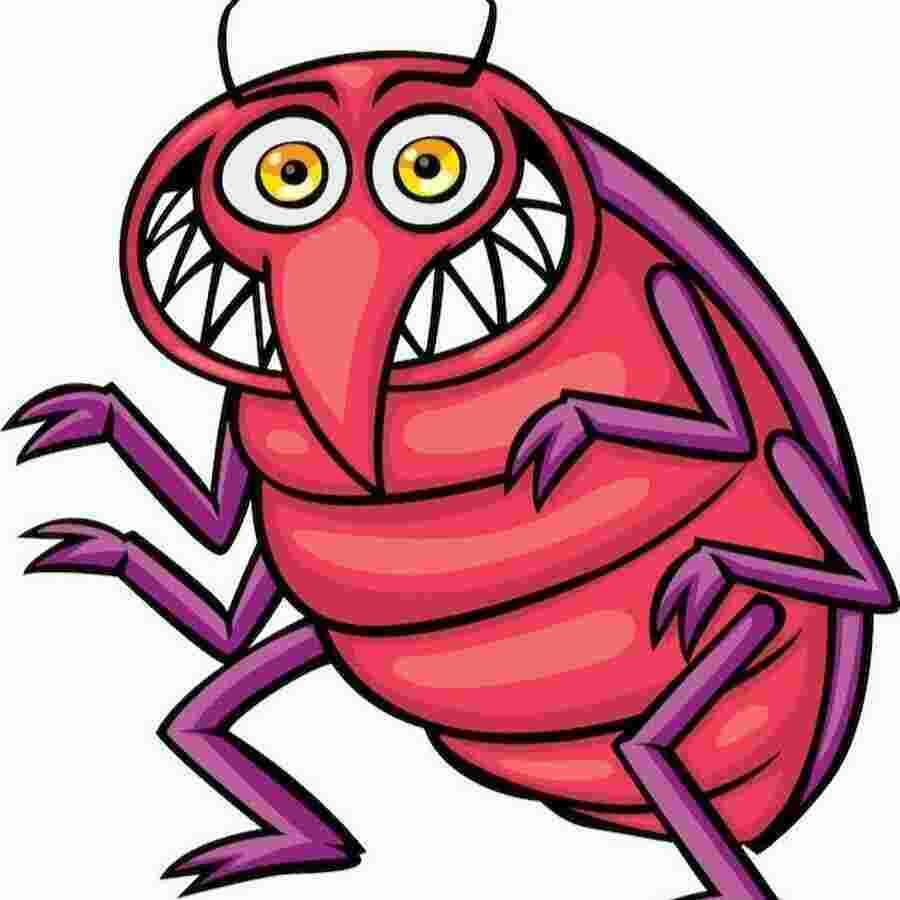 Bug Meaning and Definition