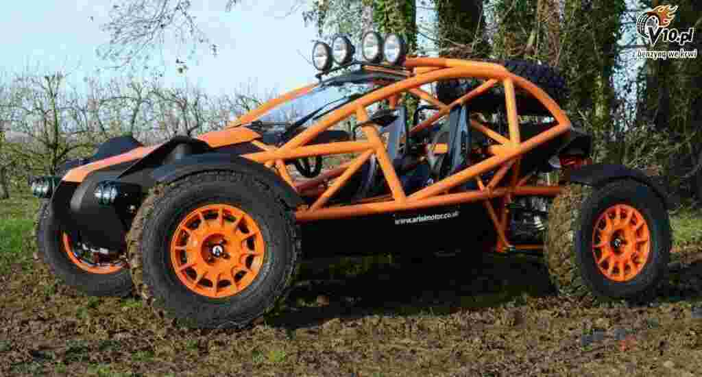 Buggy Meaning and Definition