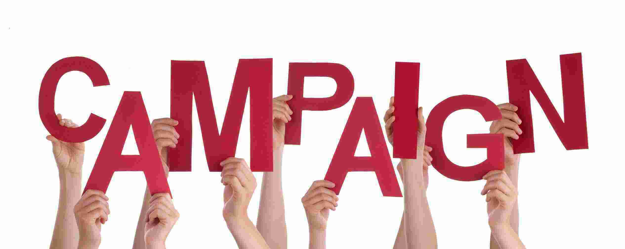 Campaign Meaning and Definition