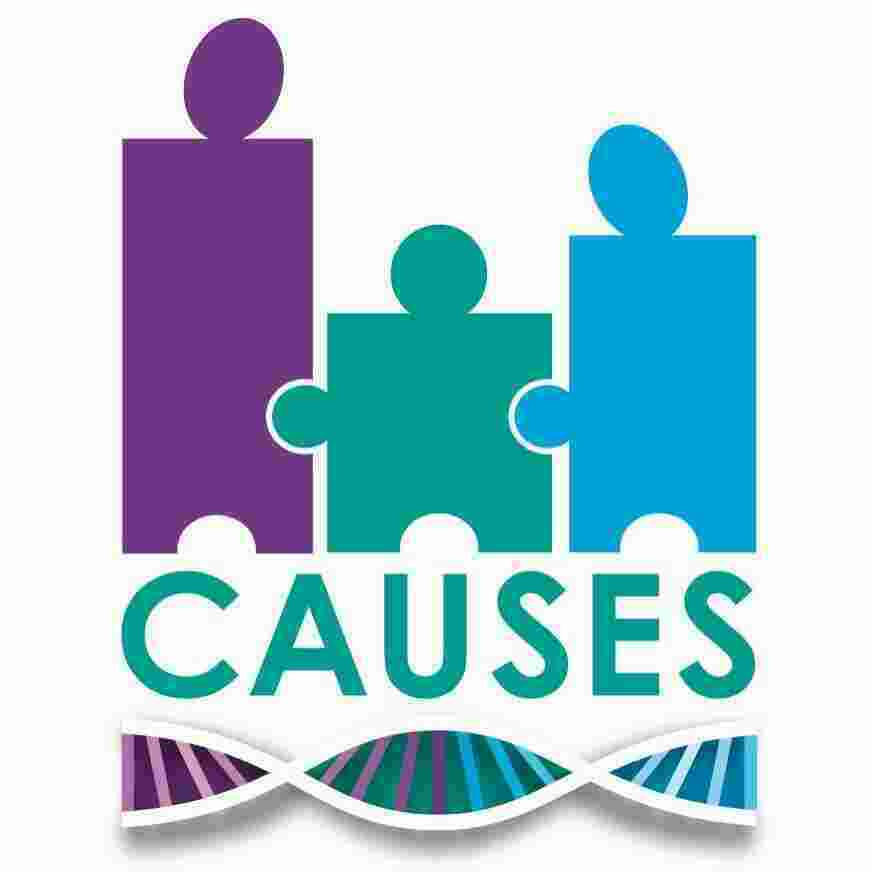 Causes Meaning and Definition