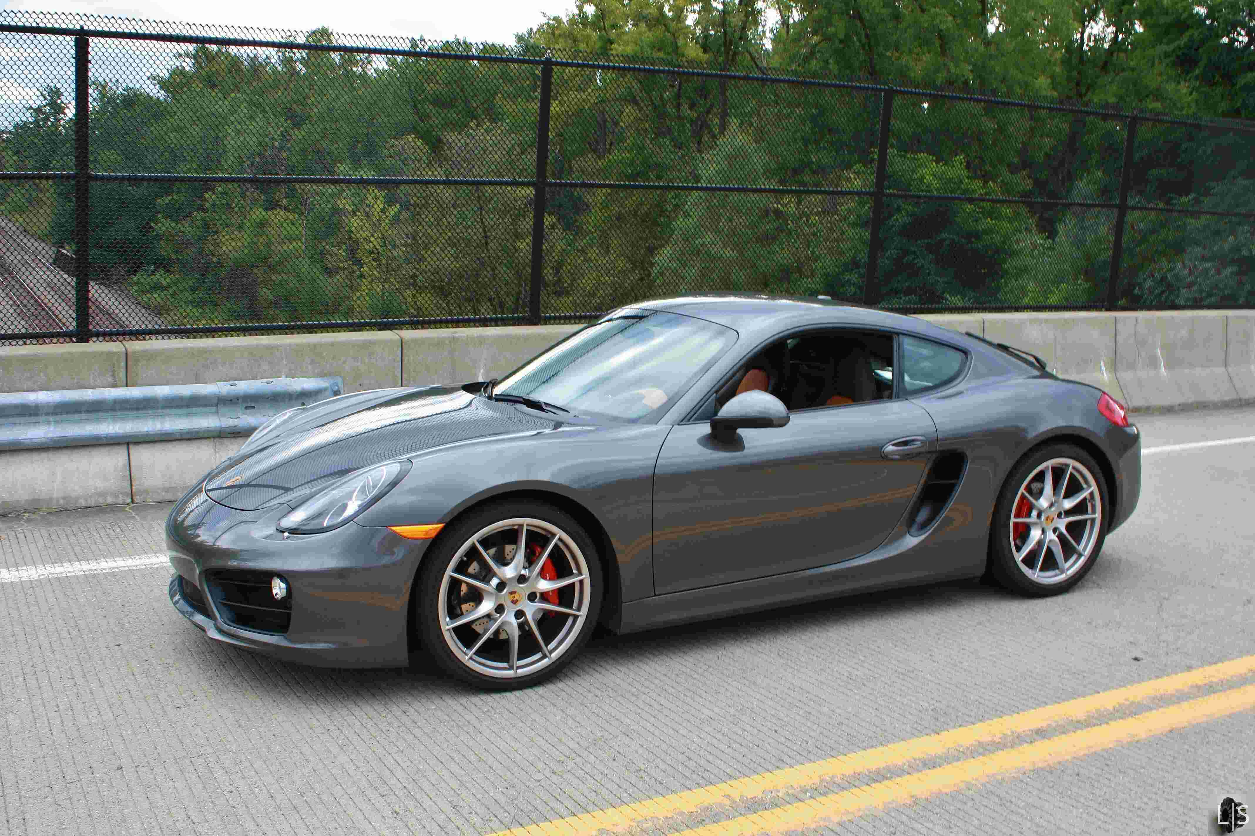 Cayman Meaning and Definition