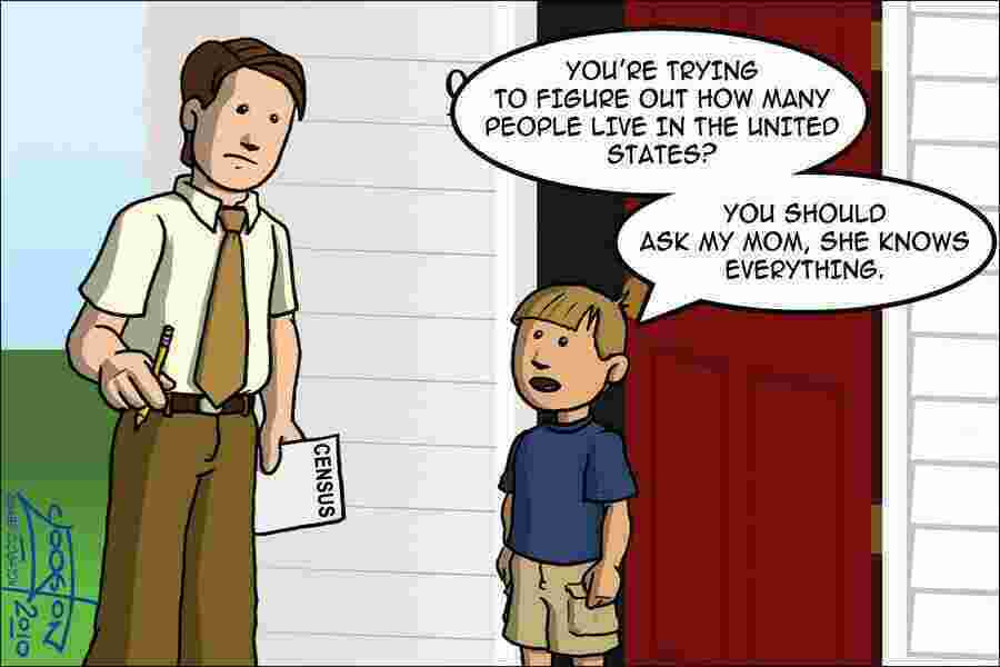 Census Meaning and Definition