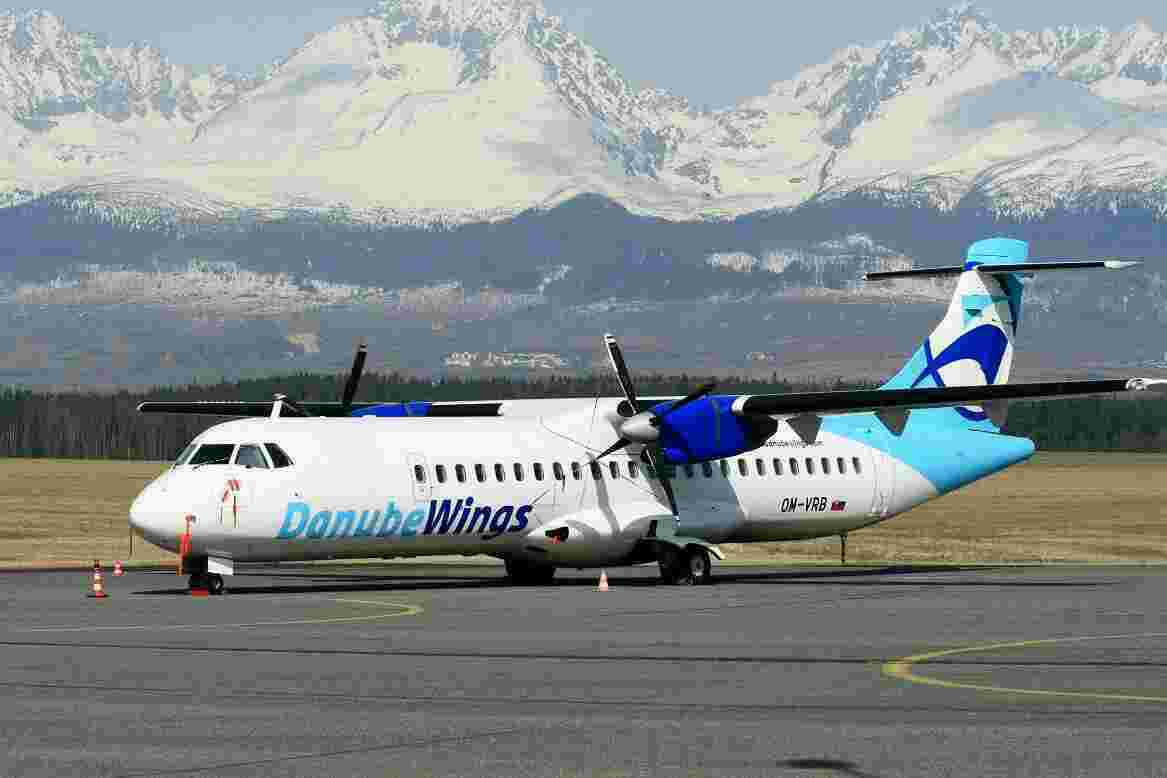 Charter Meaning and Definition