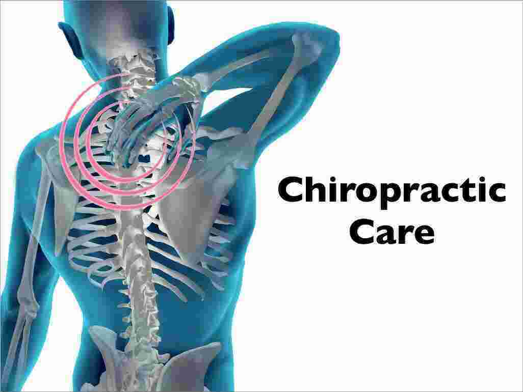 Chiropractic Meaning and Definition