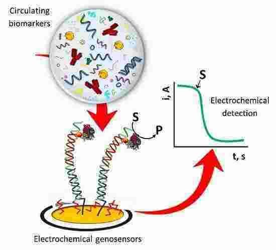 Circulating Meaning and Definition