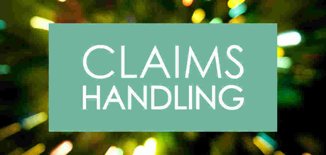 Claims Meaning and Definition