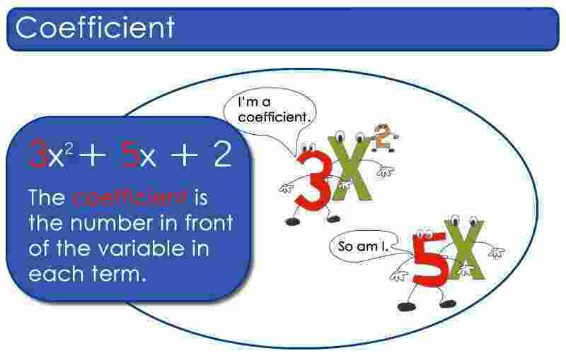 Coefficient Meaning and Definition