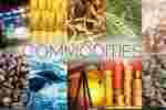 Commodities Meaning and Definition