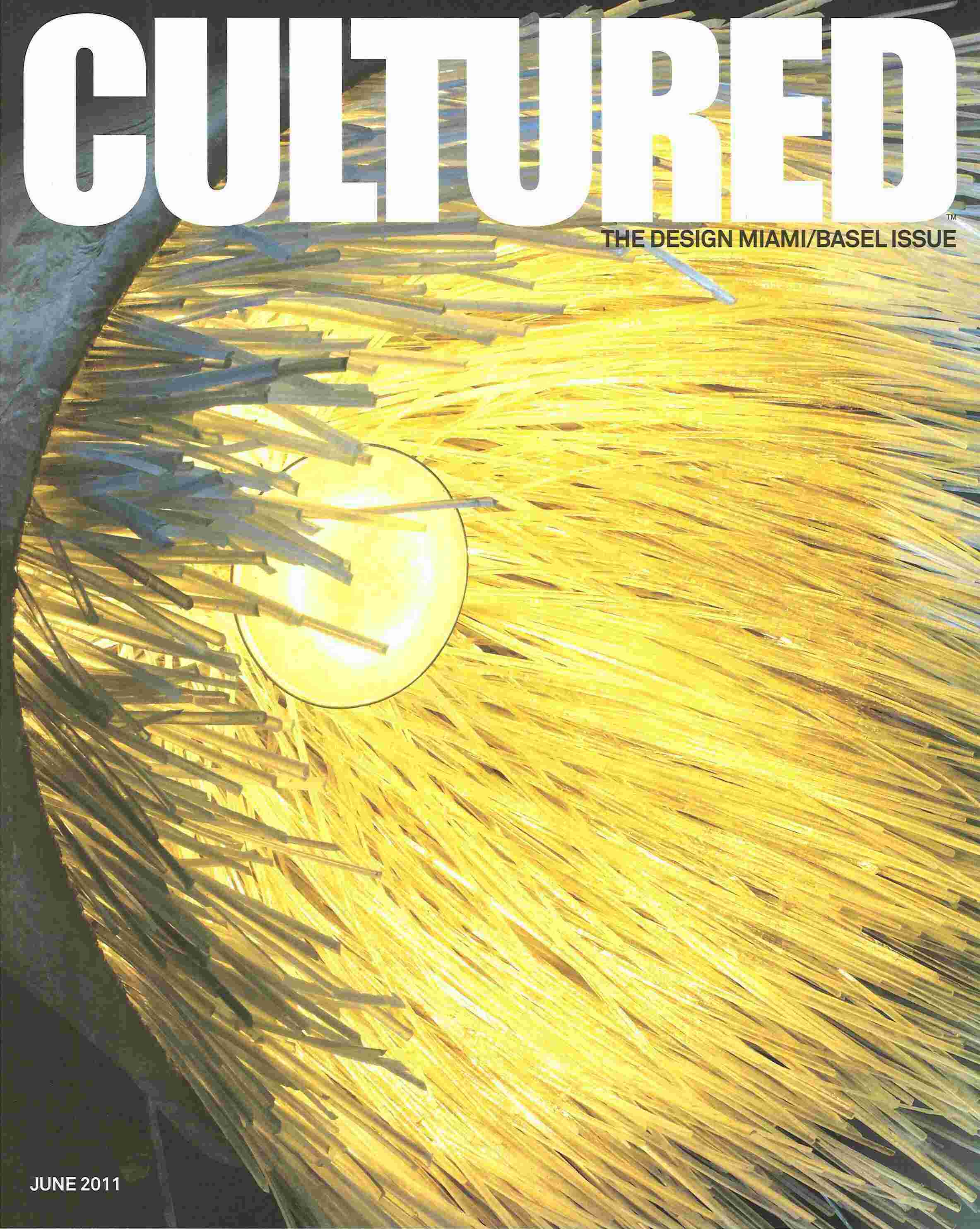 Cultured Meaning and Definition