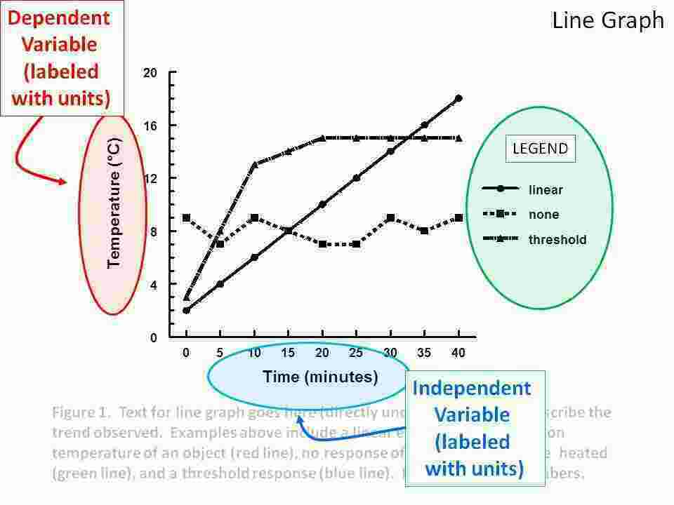 Dependent Meaning and Definition