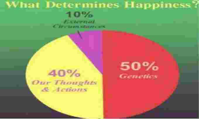 Determines Meaning and Definition