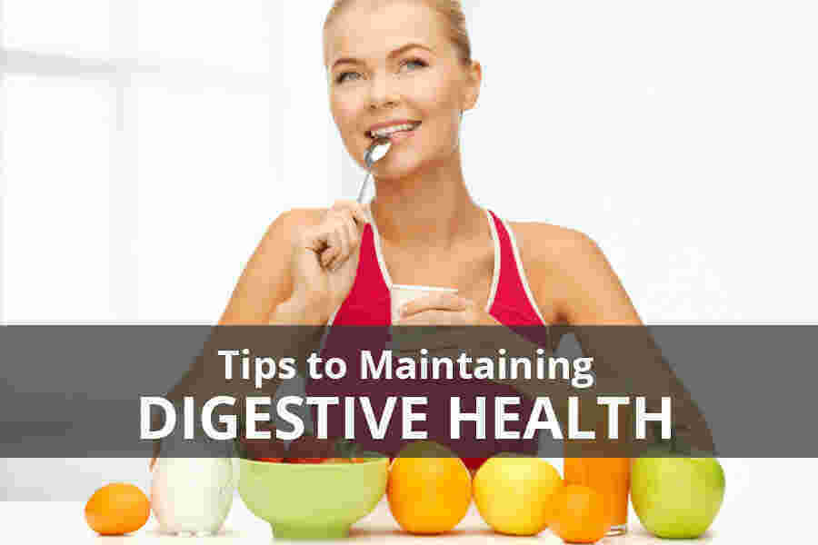 Digestive Meaning and Definition