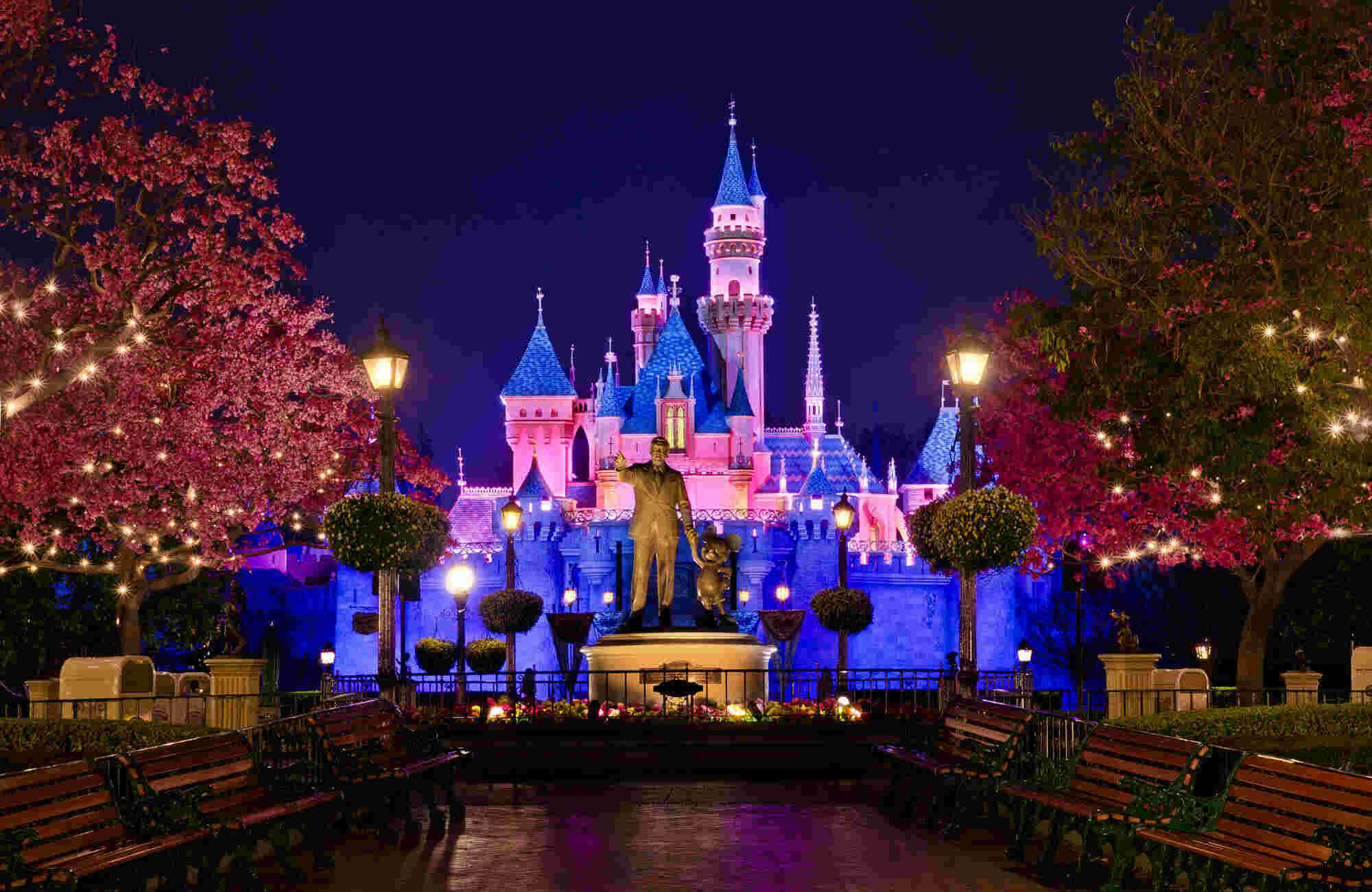 Disneyland Meaning and Definition
