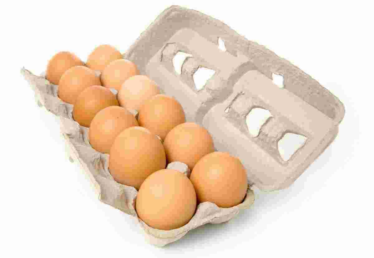 Dozen Meaning and Definition