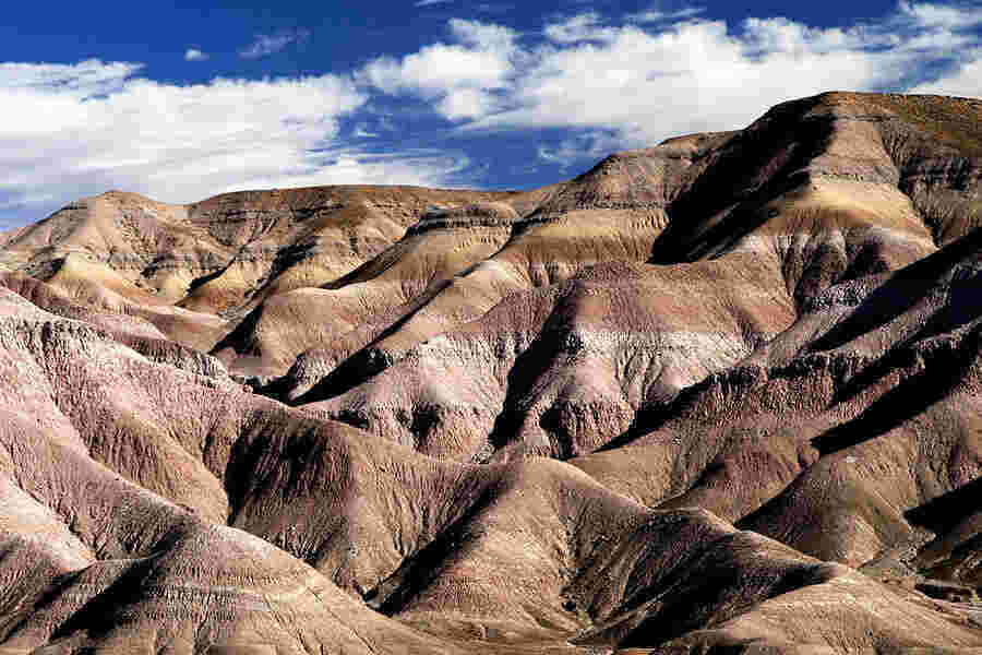 Dunes Meaning and Definition