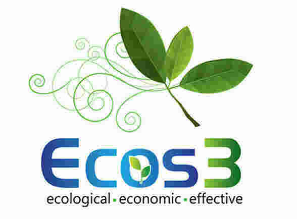 Ecological Meaning and Definition