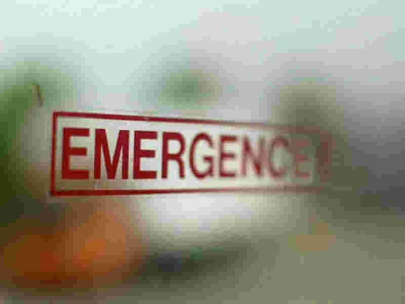 Emergence Meaning and Definition