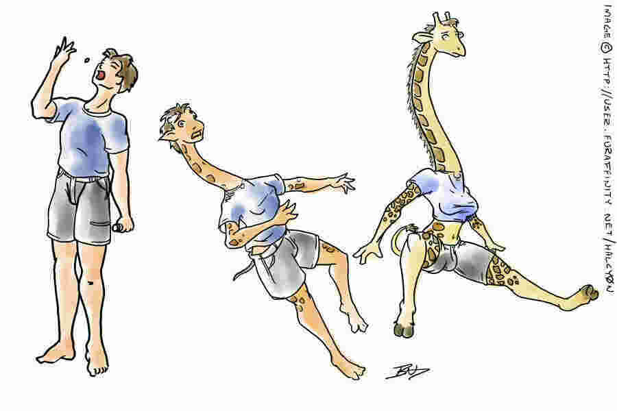 Enhancement Meaning and Definition