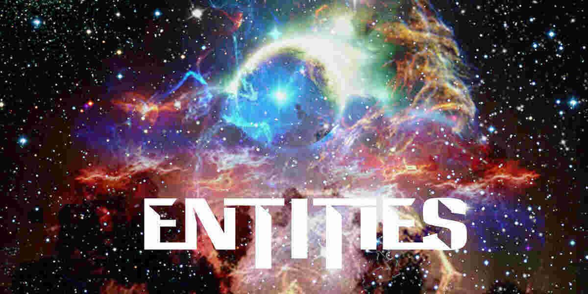 Entities Meaning and Definition