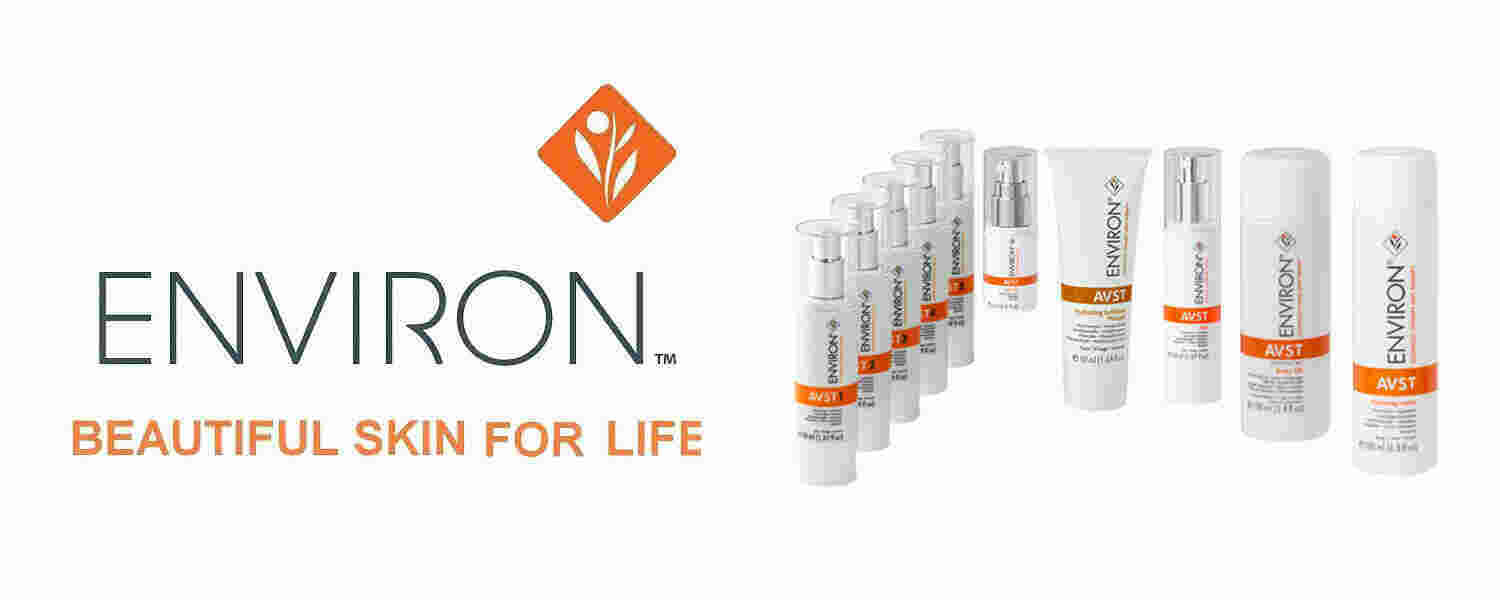 Environ Meaning and Definition