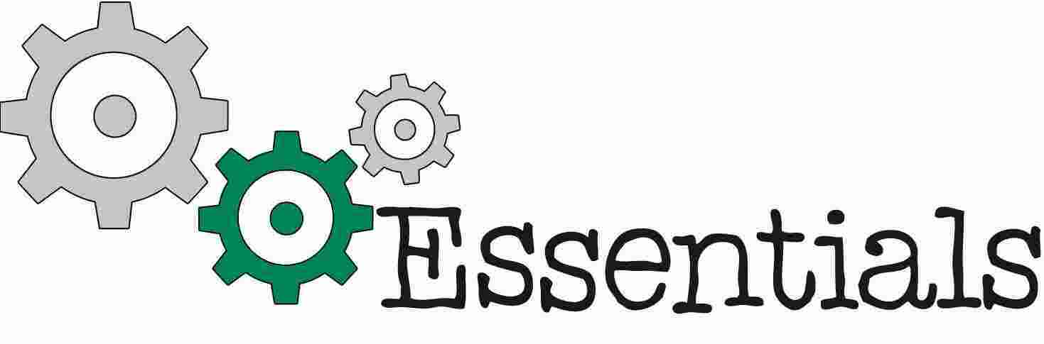 Essentials Meaning and Definition