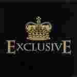 Exclusive Meaning and Definition