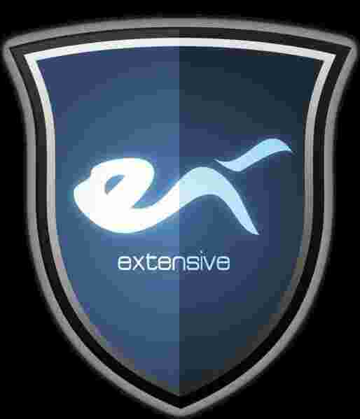 Extensive Meaning and Definition