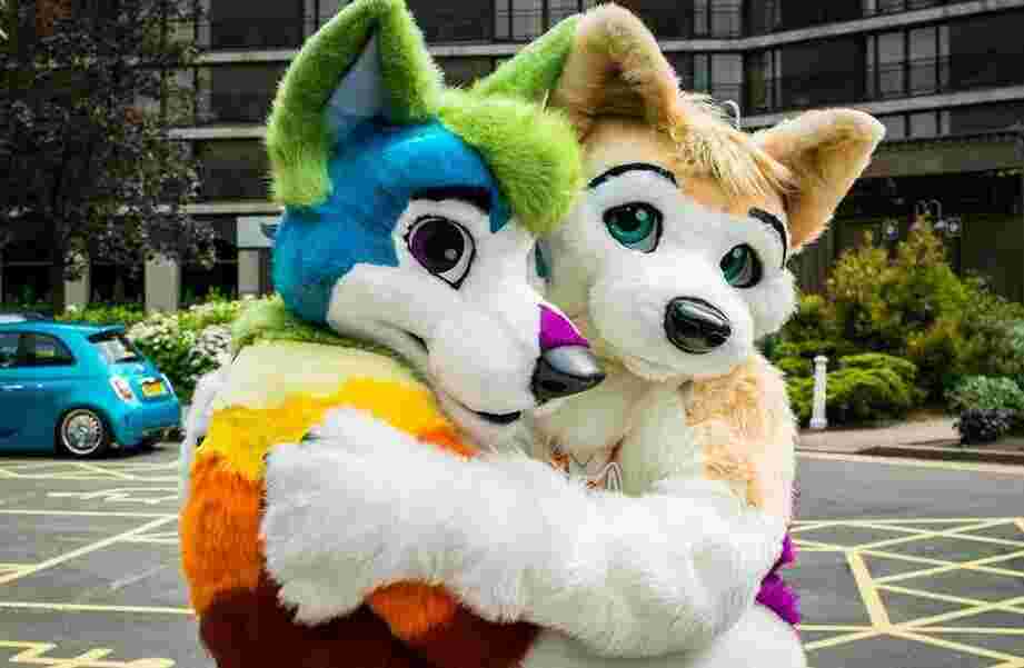 Furry Meaning and Definition