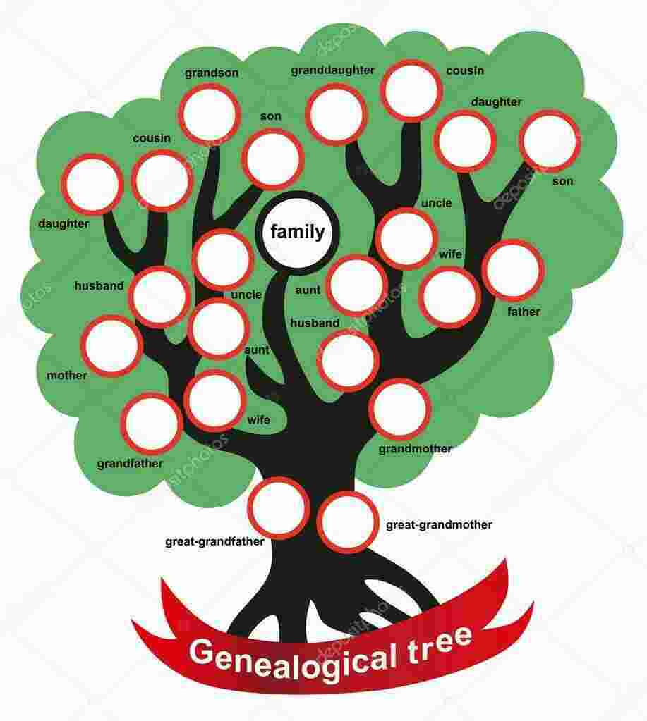 Genealogical Meaning and Definition