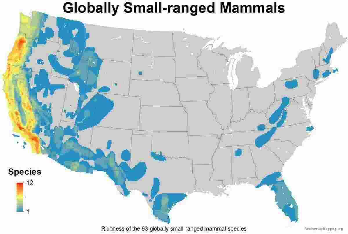 Globally Meaning and Definition