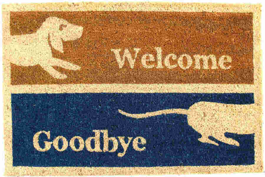 Goodbye Meaning and Definition